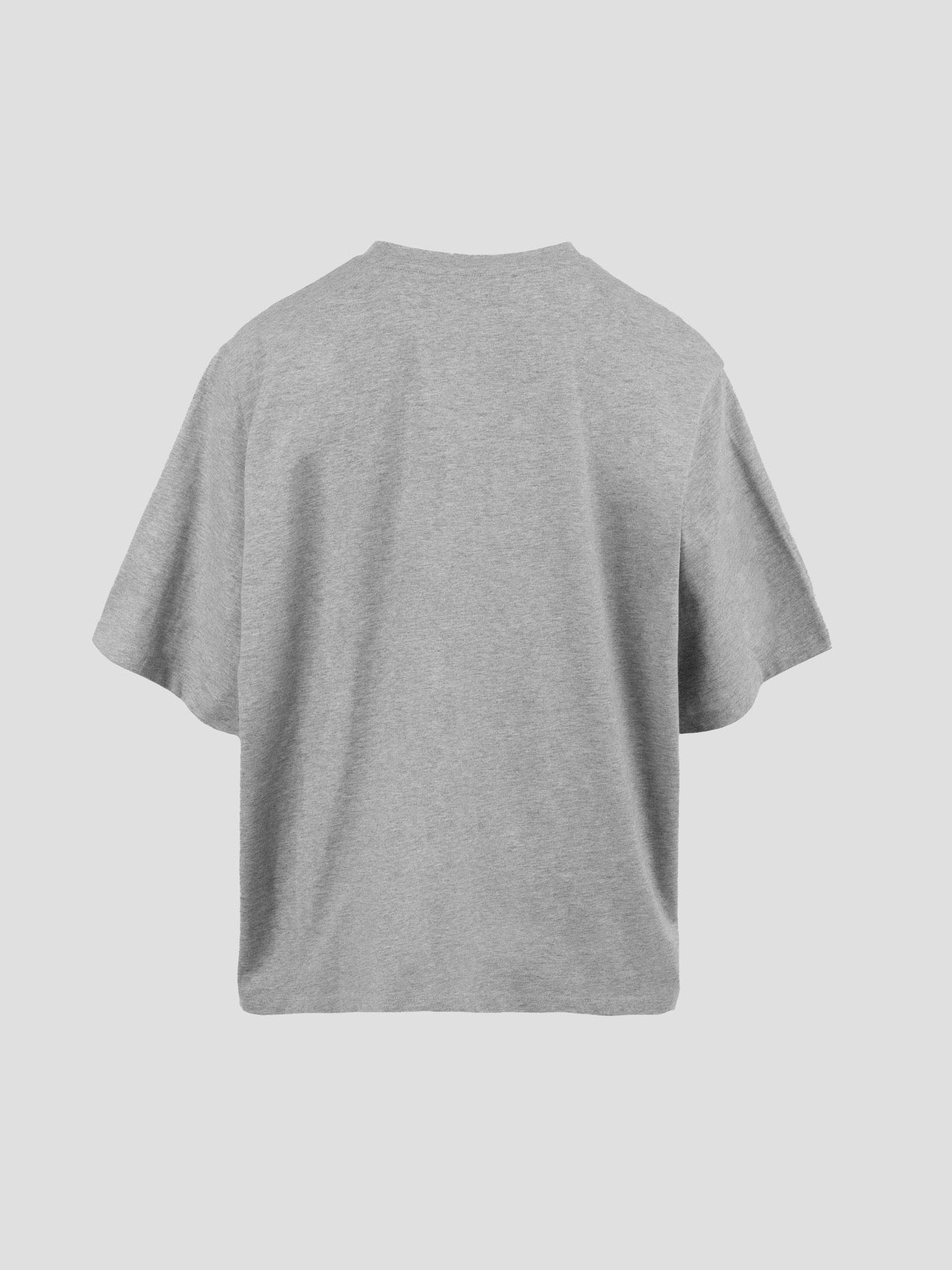 CARO OVERSIZED TEE GREY